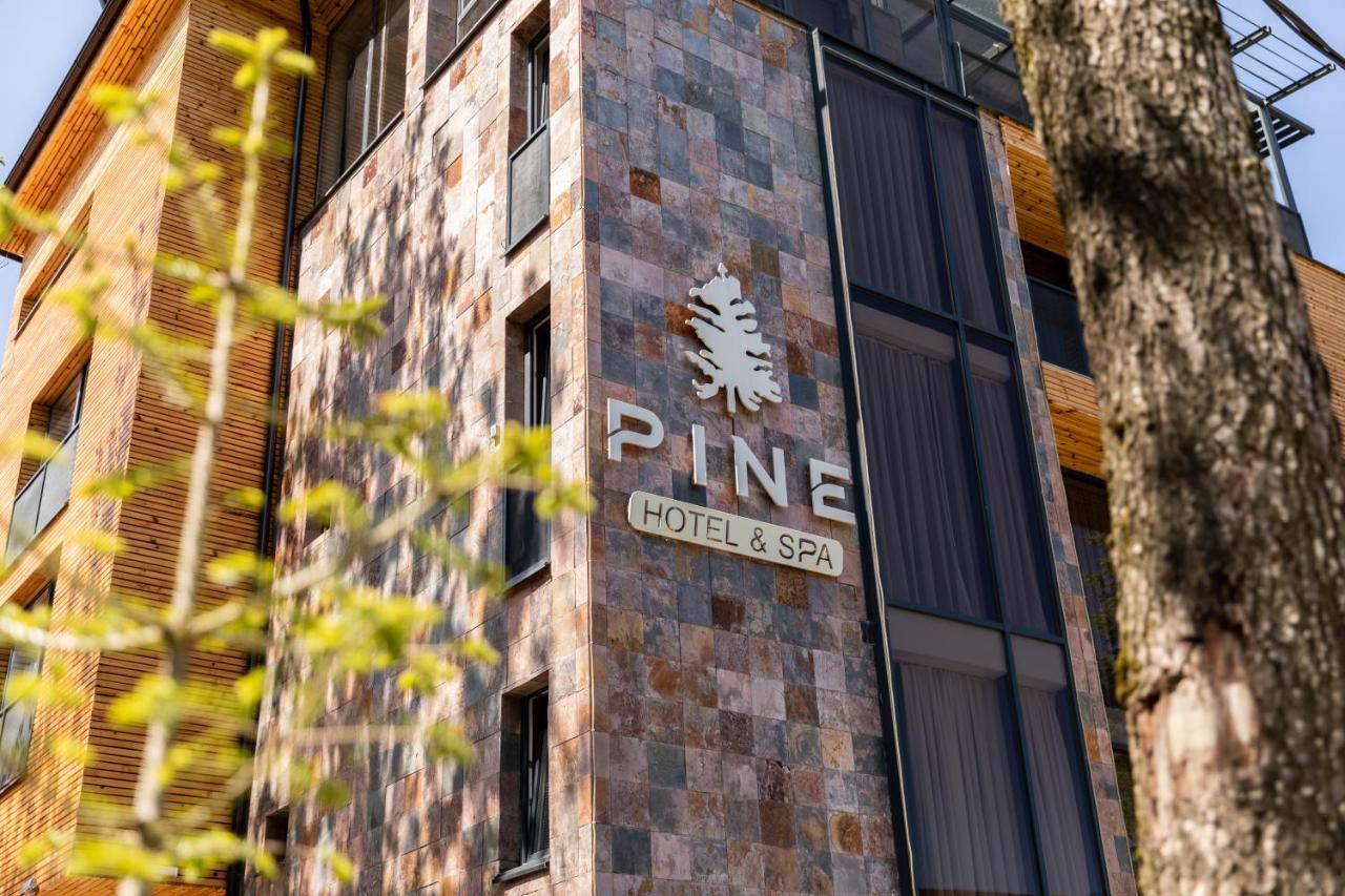 Pine Villas 布雷佐维察 外观 照片